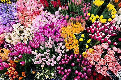 世嘉宣布 经典游戏《太空频道5》《漫画地带》将改编为电影