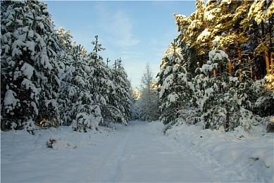 任天堂躺赚！新老《马里奥赛车8》卖出超过五千万套